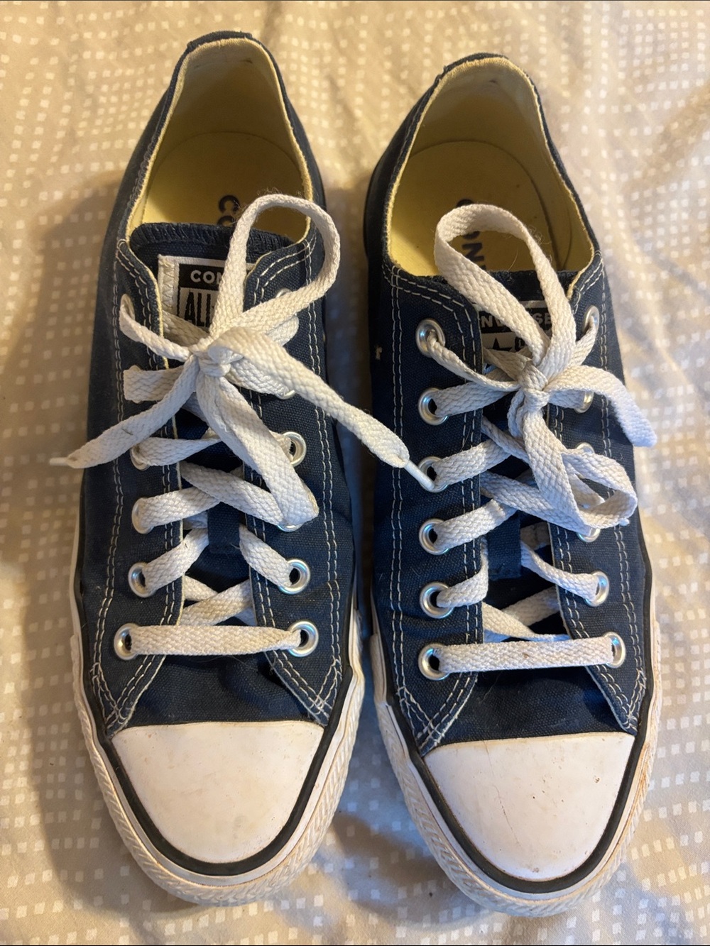 Converse Low Top Sneakers in Navy and White